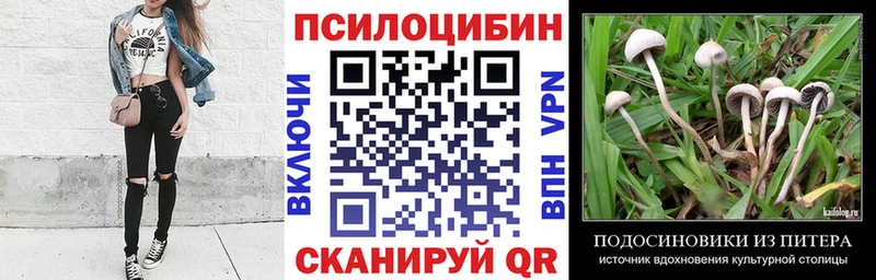 где продают   Фёдоровский  Псилоцибиновые грибы Psilocybine cubensis 
