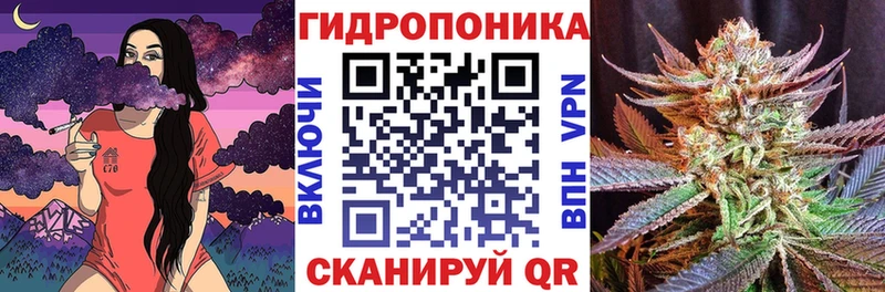 закладка  Фёдоровский  Канабис план 